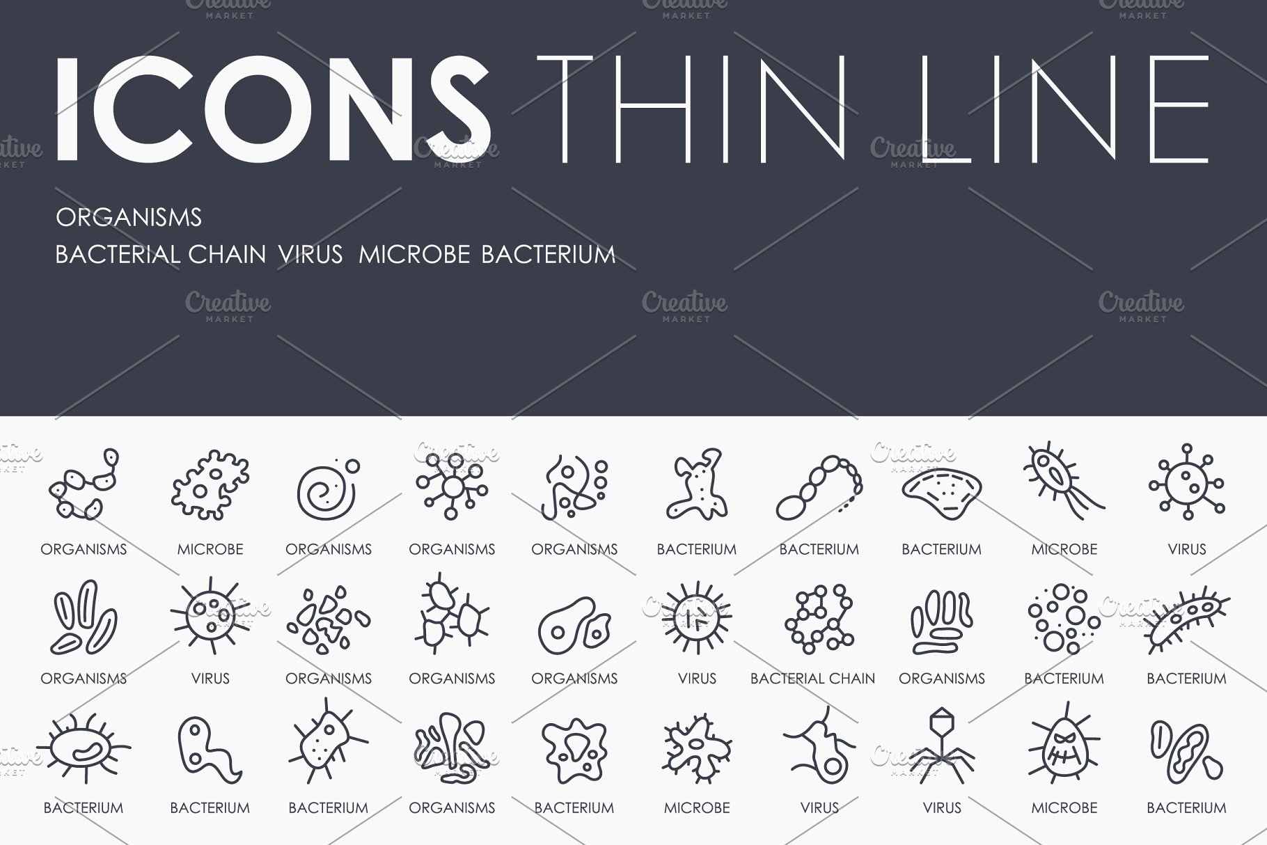 生物细菌矢量图标素材 Organisms thinline