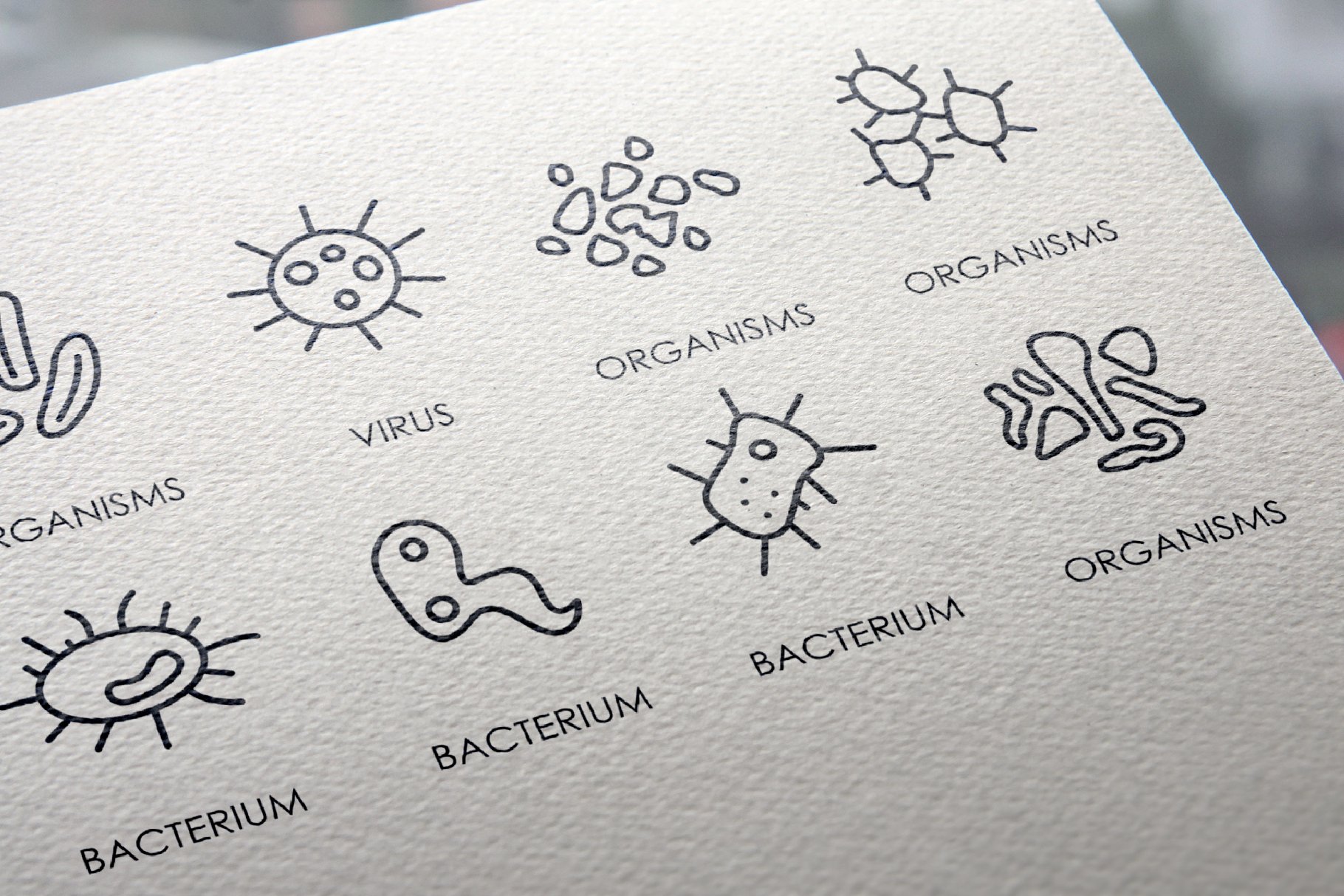 生物细菌矢量图标素材 Organisms thinline