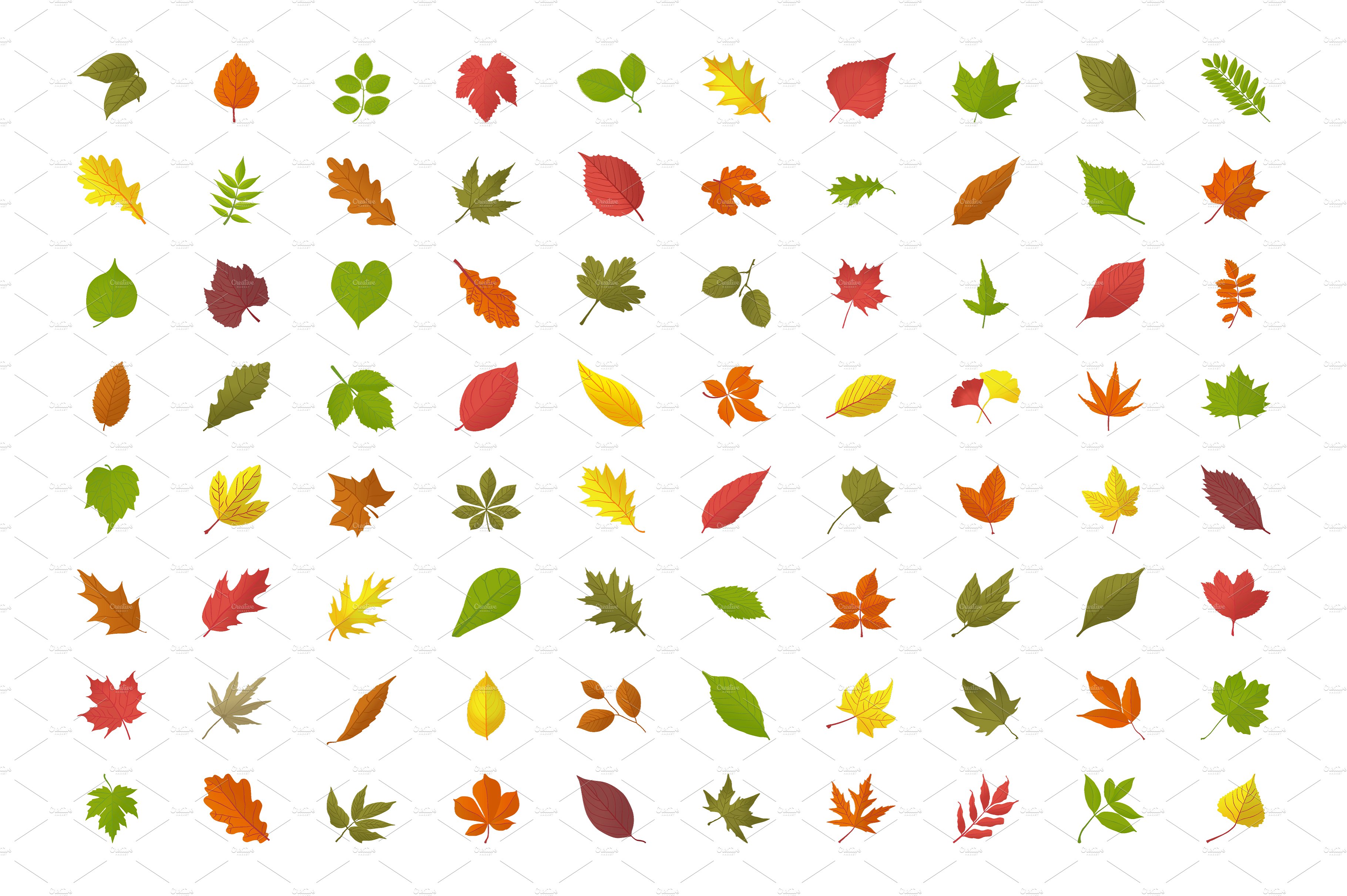 秋季枫叶矢量图标素材 80 Autumn Leaves Ic