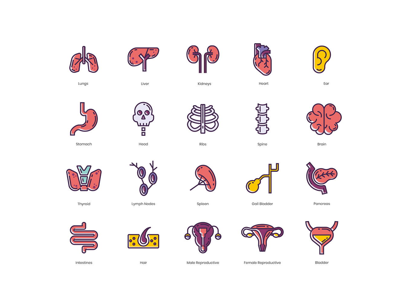 可爱的医学主题图标套装Medical Icons #3337