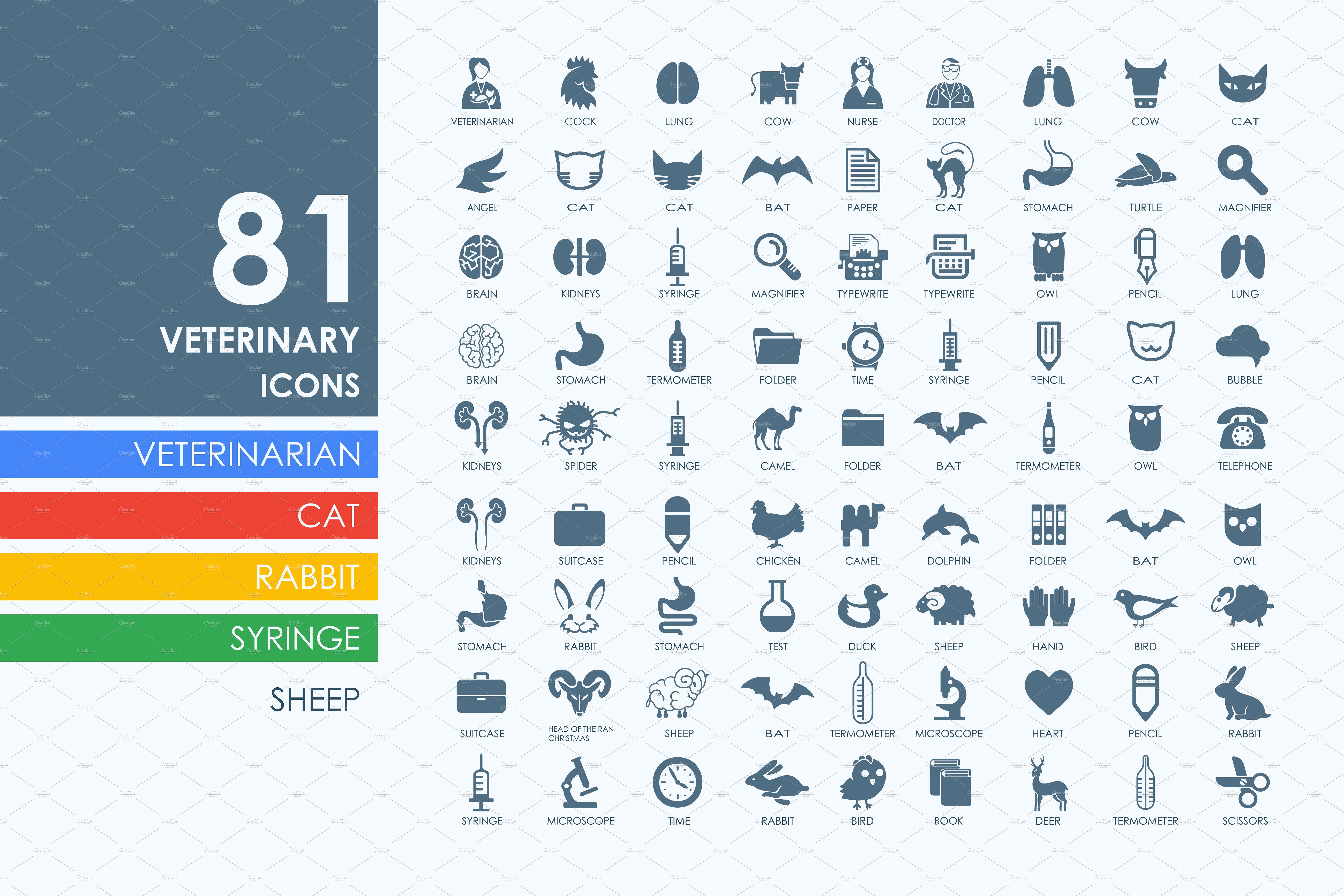 兽医图标 81 veterinary icons #9114