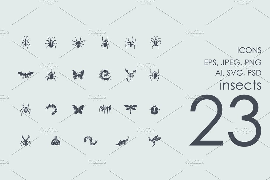 23个昆虫图标 23 insects icons #9109