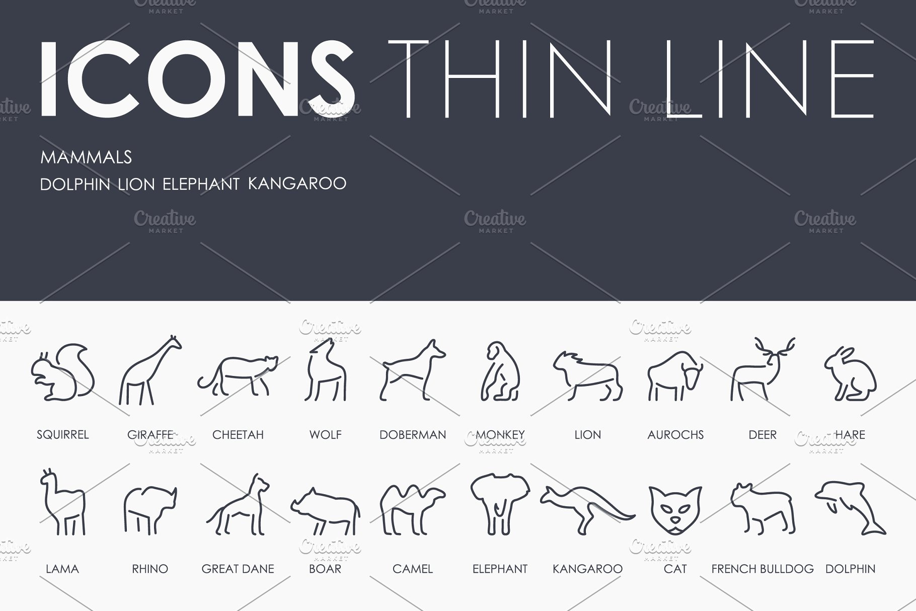 哺乳动物细线图标 Mammals thinline icon