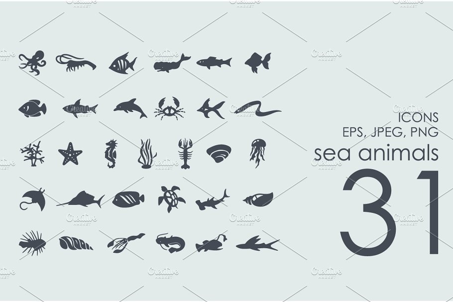 海洋生物图标 31 sea animals icons #9