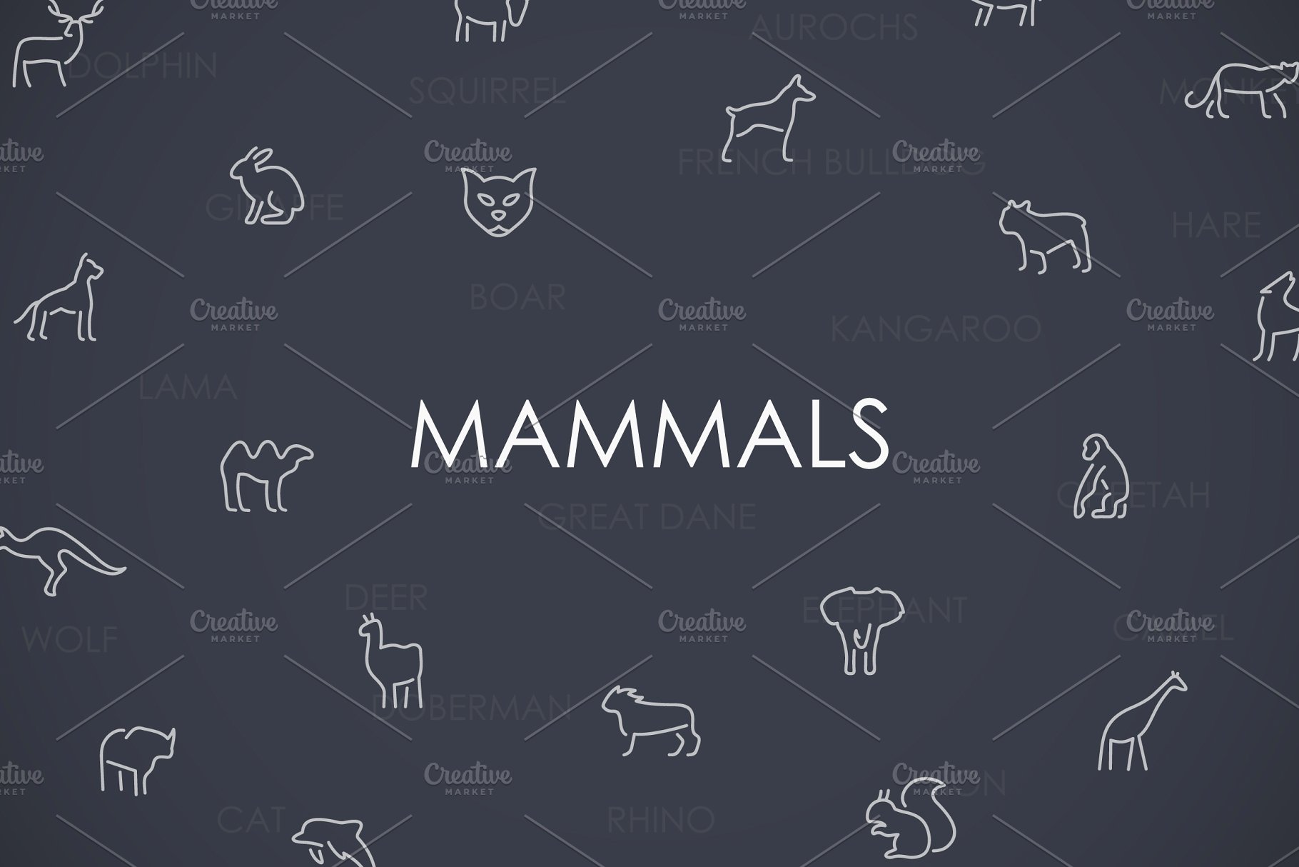 哺乳动物细线图标 Mammals thinline icon