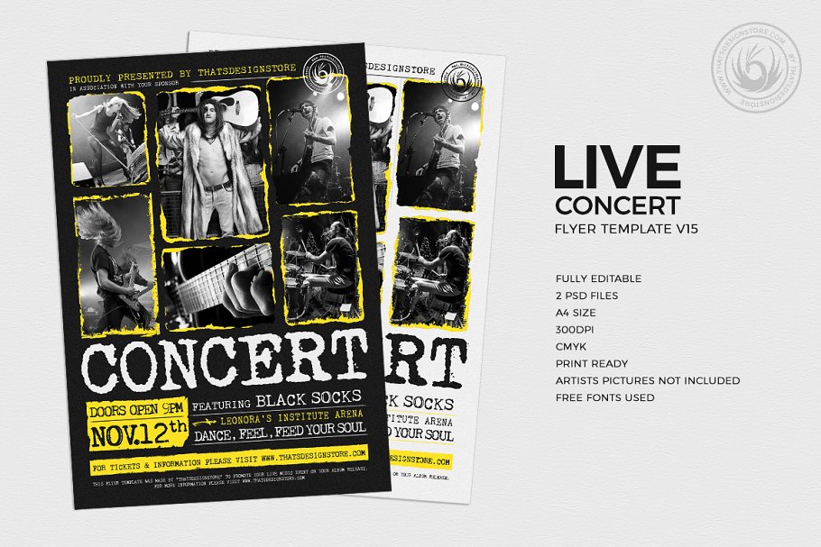 音乐聚会海报模板 Live Concert Flyer  #