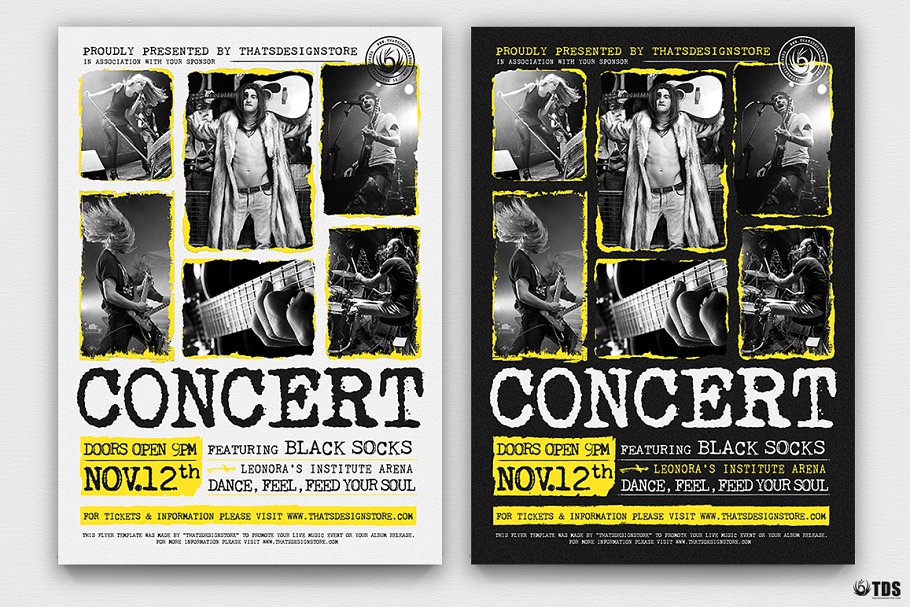 音乐聚会海报模板 Live Concert Flyer #