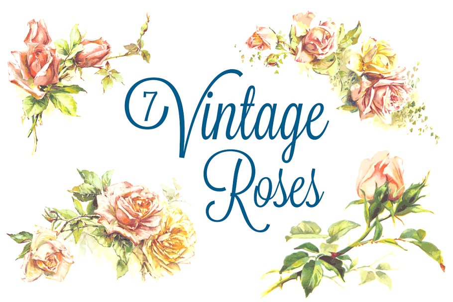 复古玫瑰 7 Vintage Roses #92808