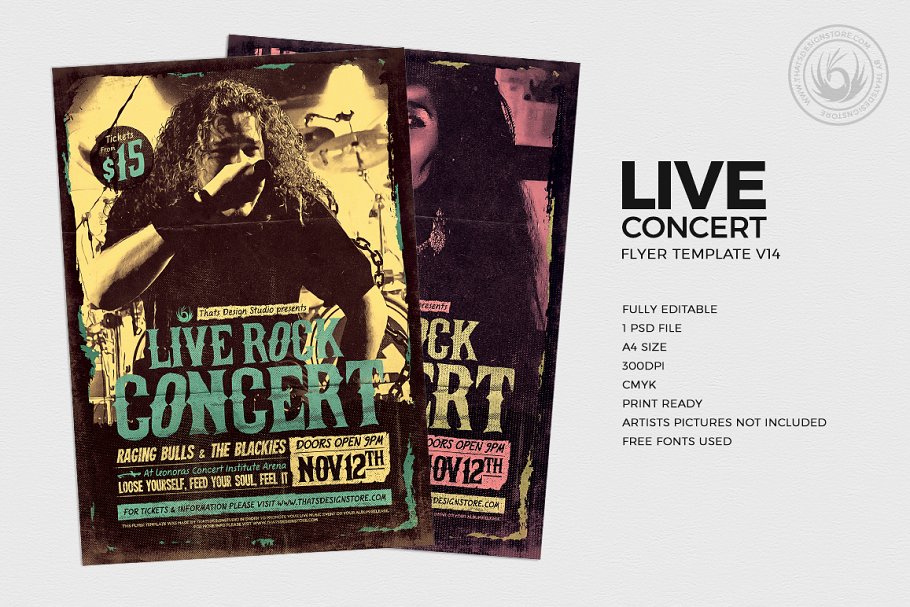演唱会海报模版 Live Concert Flyer #89