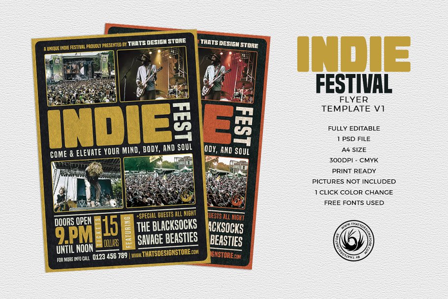独立节日传单PSD V1 Indie Fest Flyer