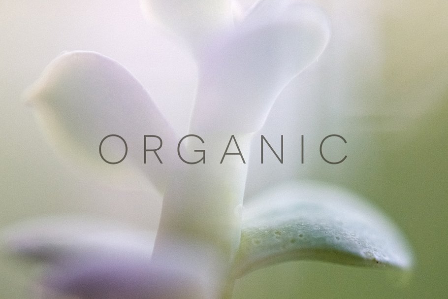 花卉植物图片素材 Organic #138542