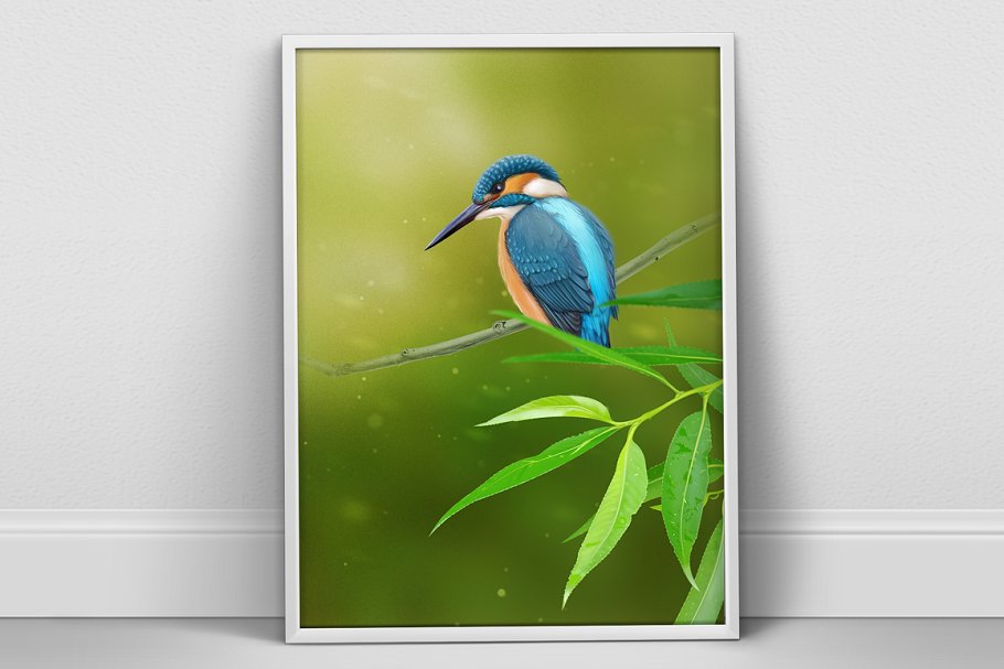 翠鸟A4海报素材 Kingfisher Portrait A