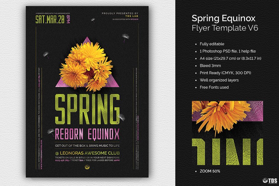 春分主题海报 Spring Equinox Flyer #1