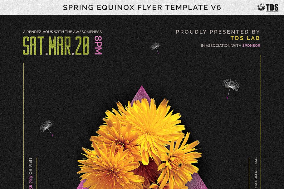 春分主题海报 Spring Equinox Flyer #1