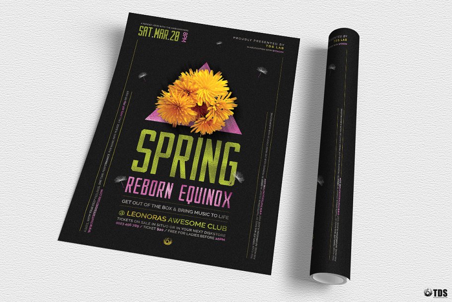 春分主题海报 Spring Equinox Flyer #1