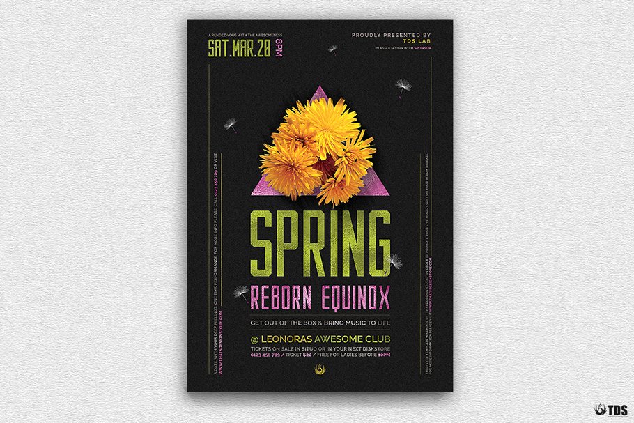 春分主题海报 Spring Equinox Flyer #1