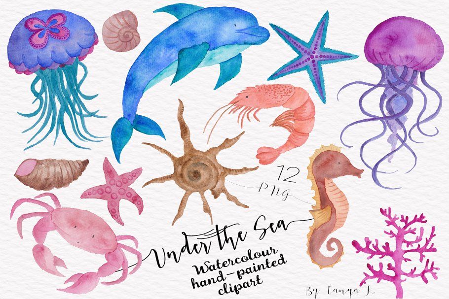 海底生物水彩素材 Under the Sea Waterco