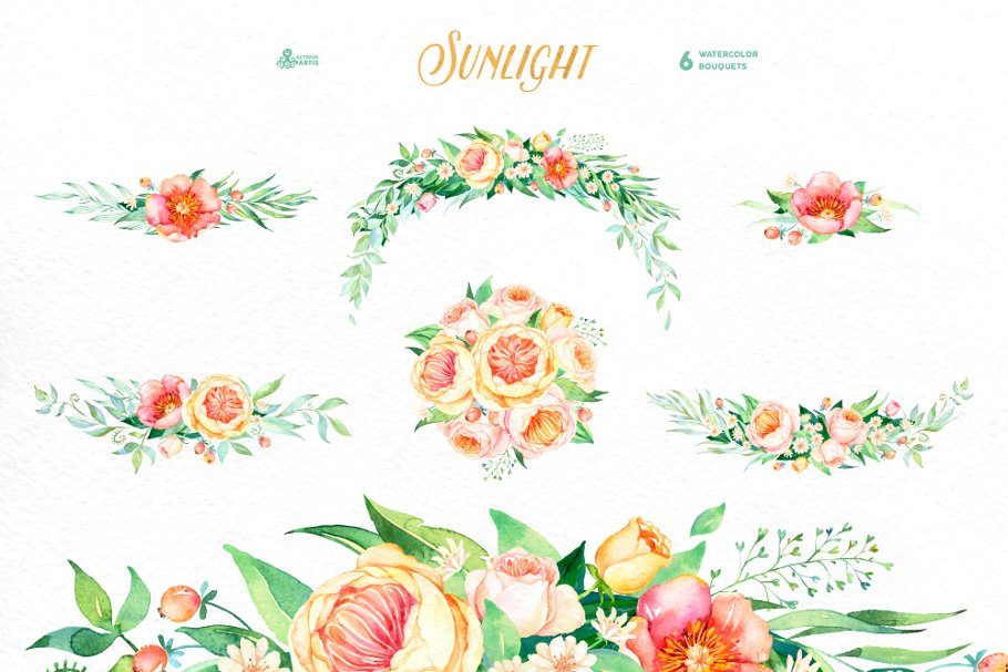 阳光花卉系列水彩素材 Sunlight. Floral Co