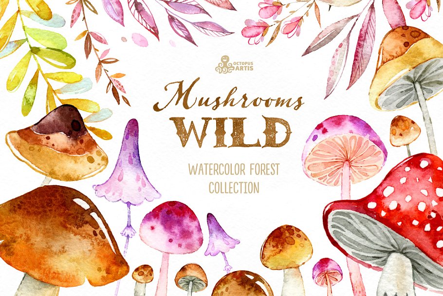 森林蘑菇图形套装 Wild Mushrooms. Fores