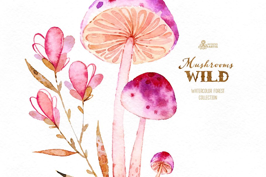 森林蘑菇图形套装 Wild Mushrooms. Fores