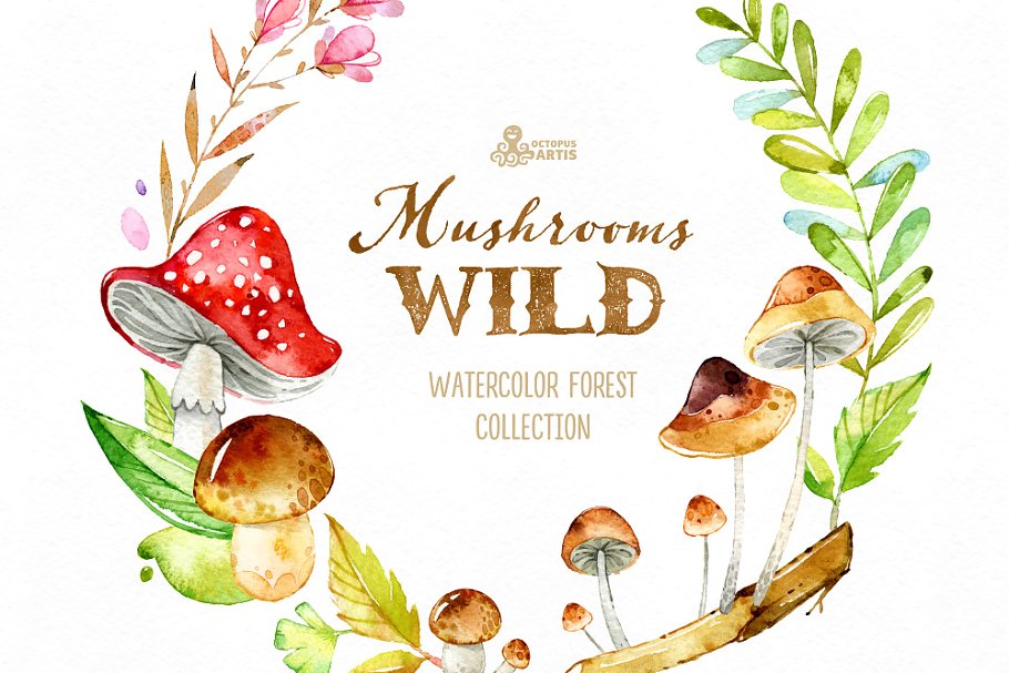 森林蘑菇图形套装 Wild Mushrooms. Fores