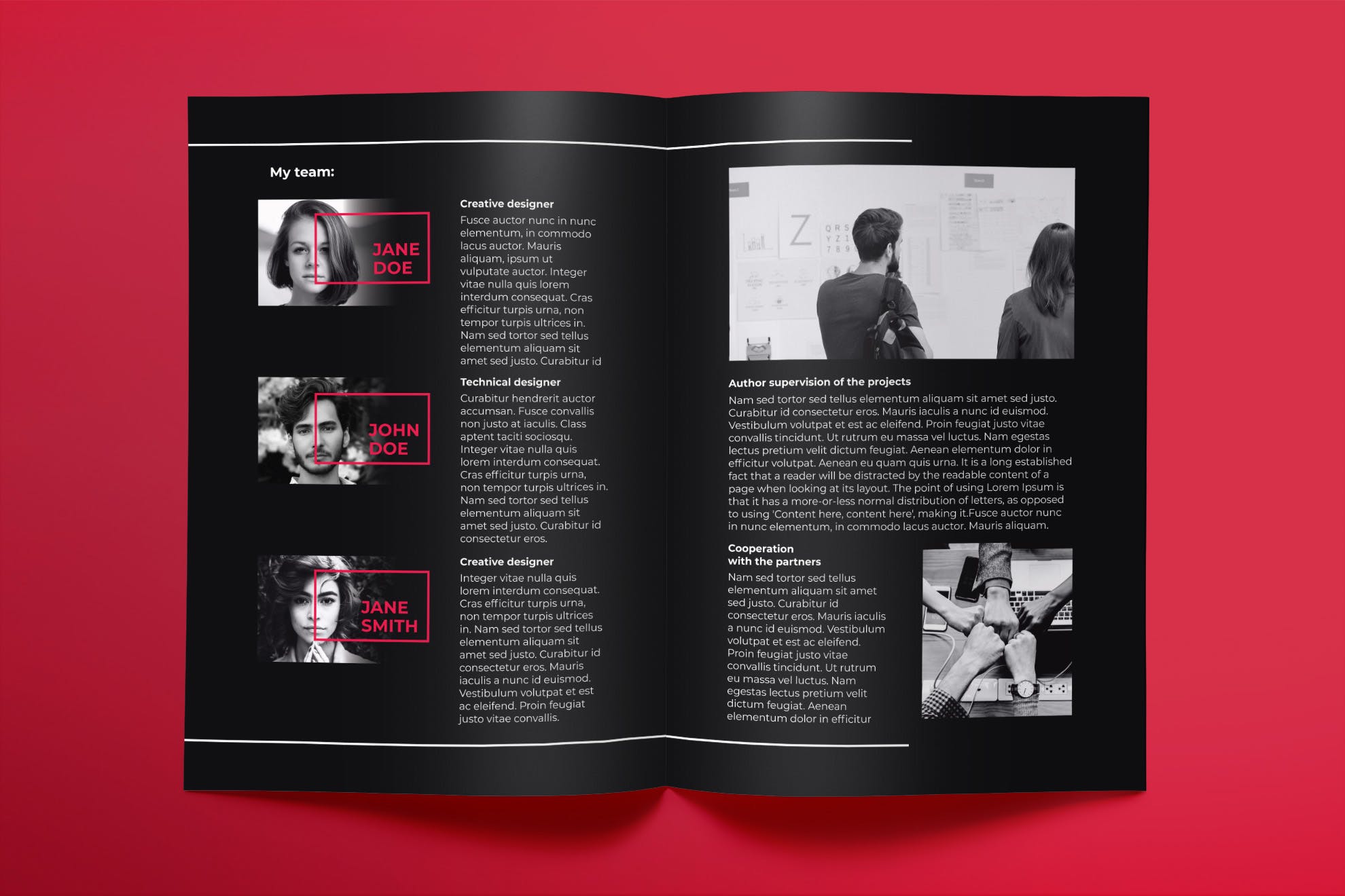 艺术策划团队工作室宣传手册设计模板 Art Director