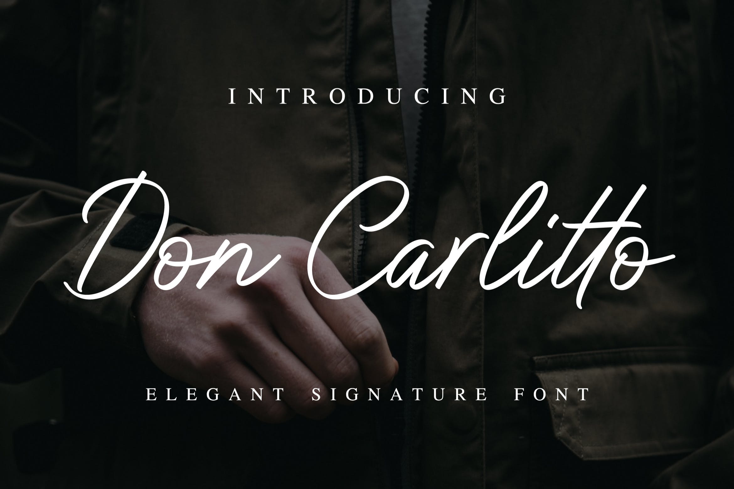 优雅钢笔签名书法字体下载 Don Carlitto – El