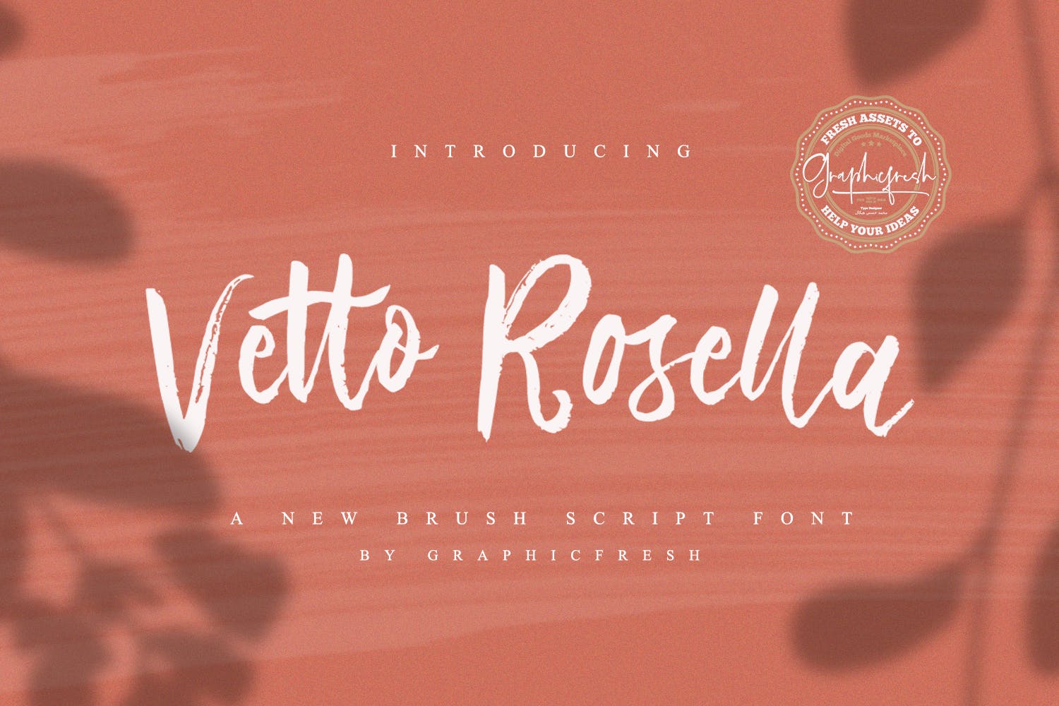 优雅女性书法艺术英文字体下载 Vetto Rosella –