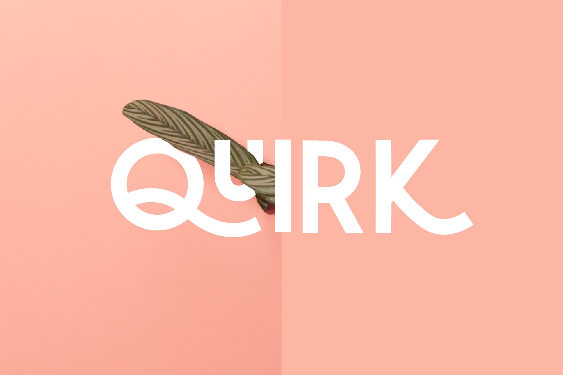 大胆堆叠无衬线英文字体 Quirk – Fun Displa
