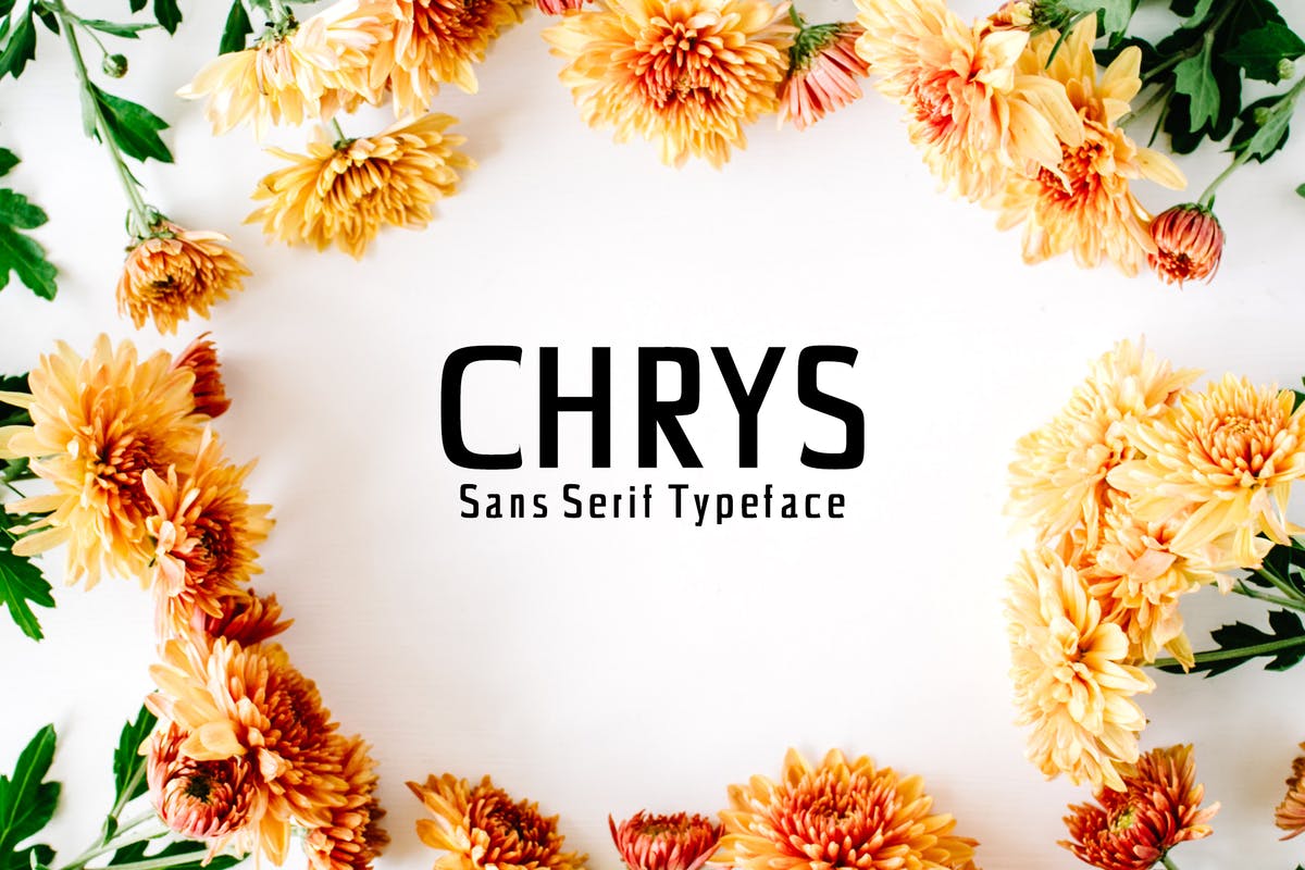 极简现代设计风格的无衬线字体套装 Chrys Sans Se