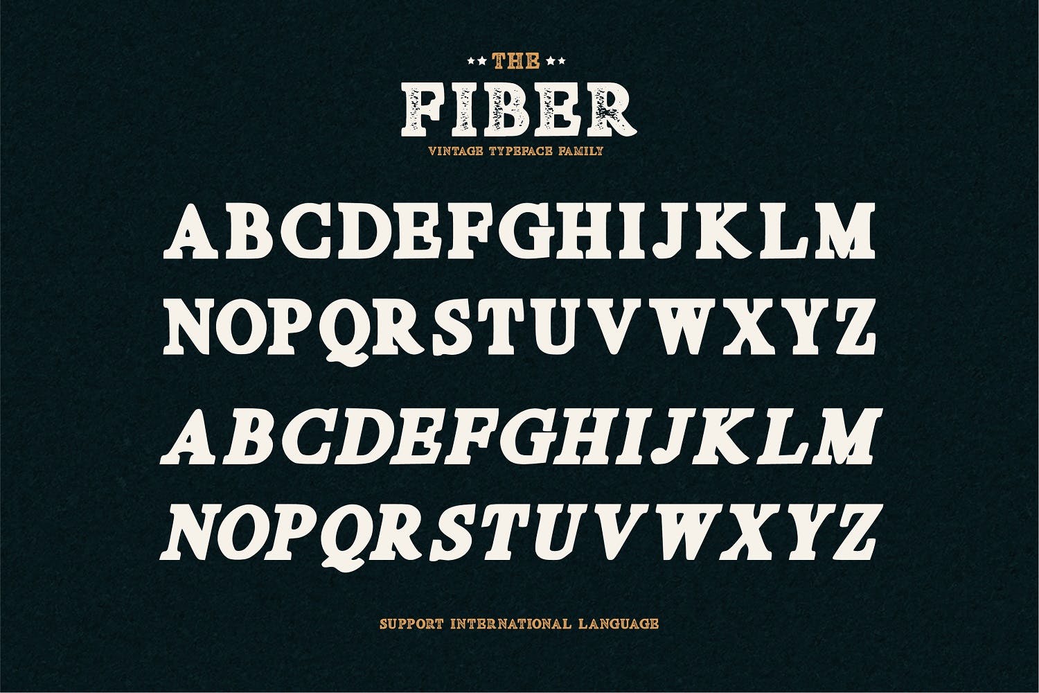 复古装饰风格英文无衬线设计字体下载 Fiber Vintag