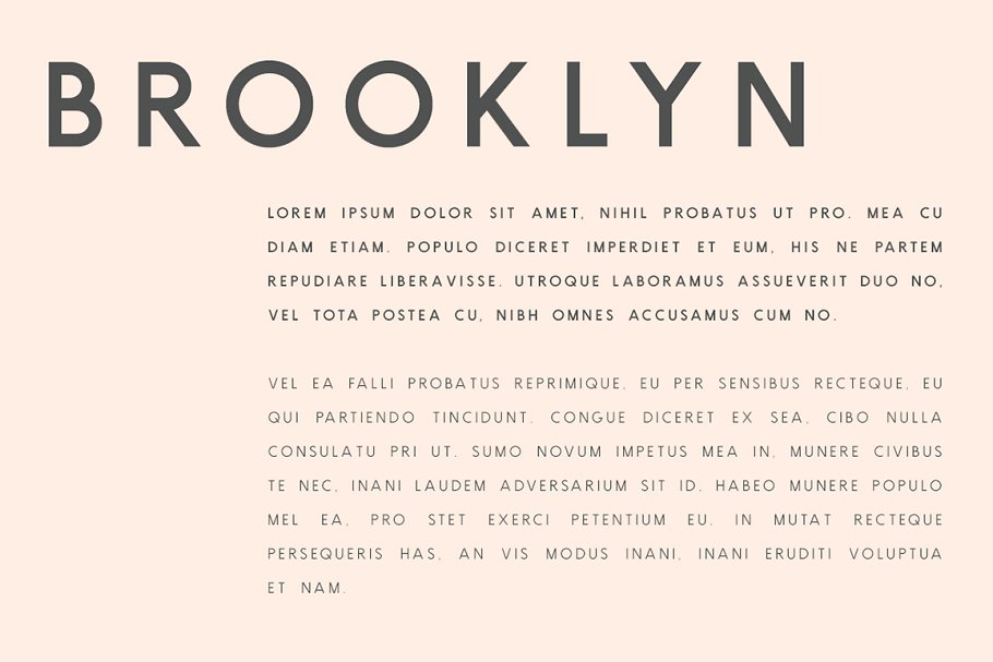 印刷排版的无衬线英文字体 Brooklyn Weight F