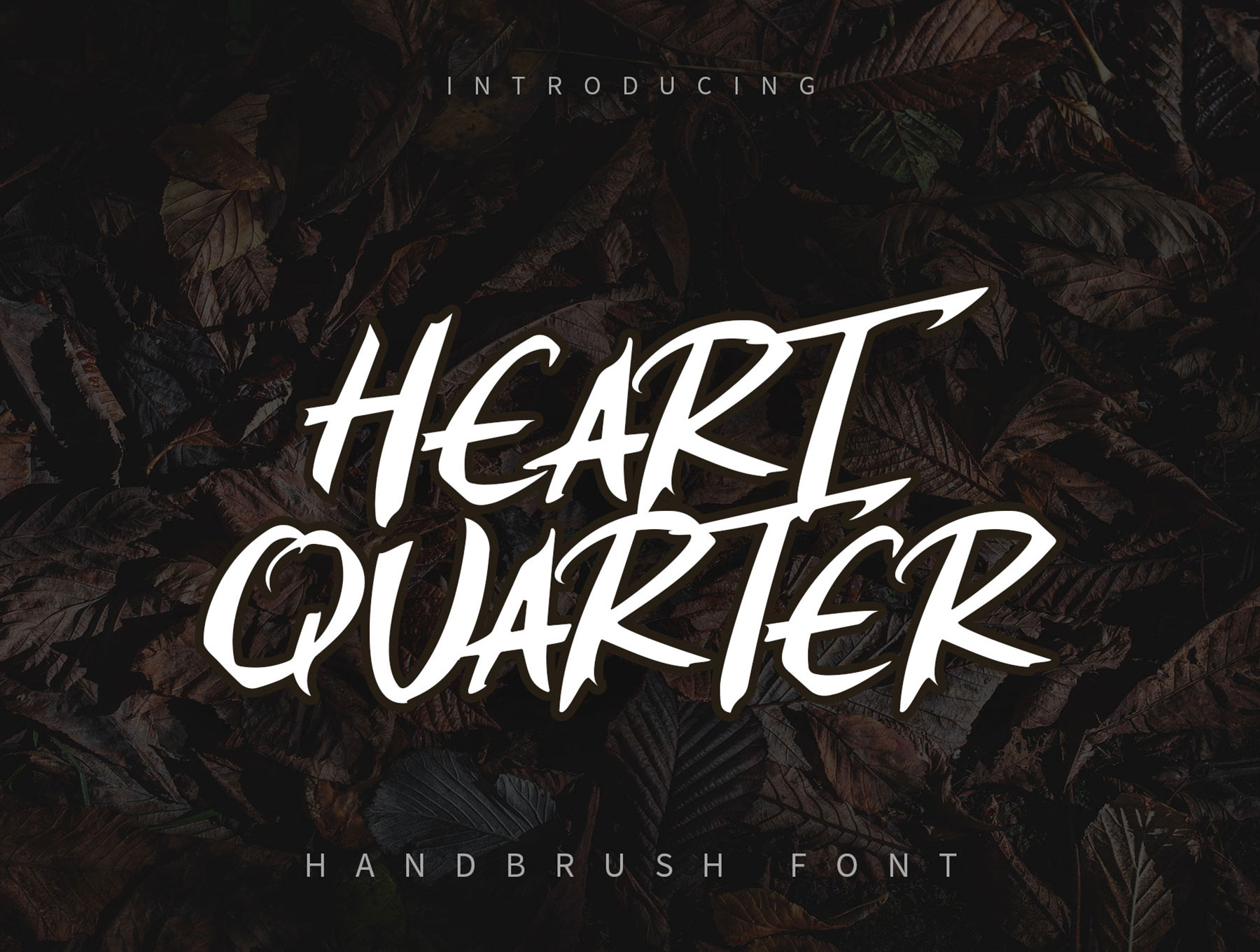 一款优雅时尚的手绘英文字体 Heart Quarter -