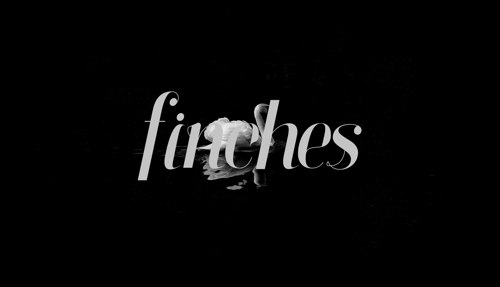 雅致设计风格英文衬线斜体字体 Finches Serif I