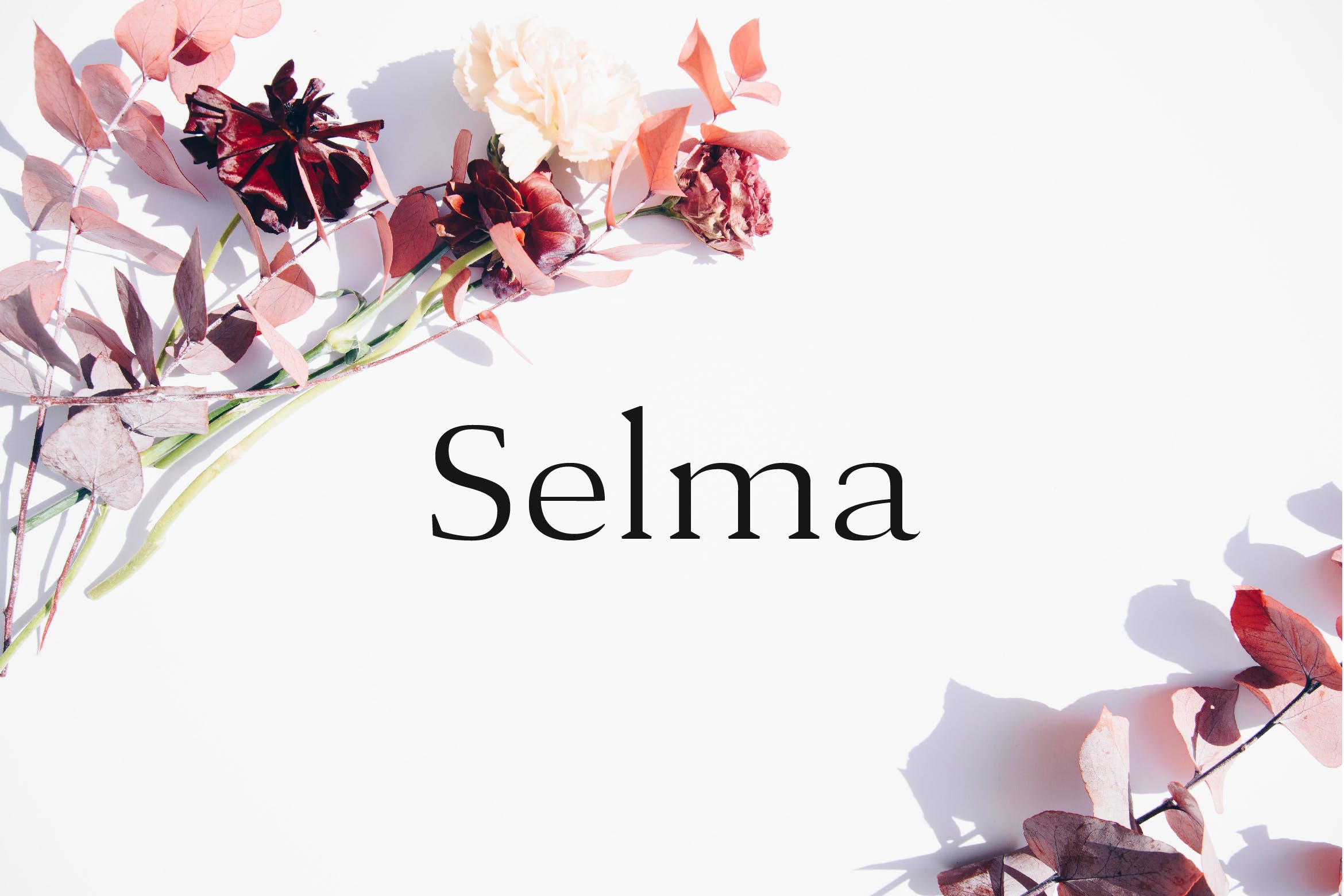 现代优雅英文衬线字体下载 Selma – A Classy