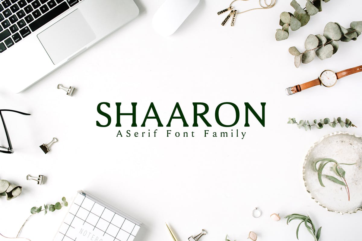 极简优雅风格衬线字体家族 Shaaron A New Ser