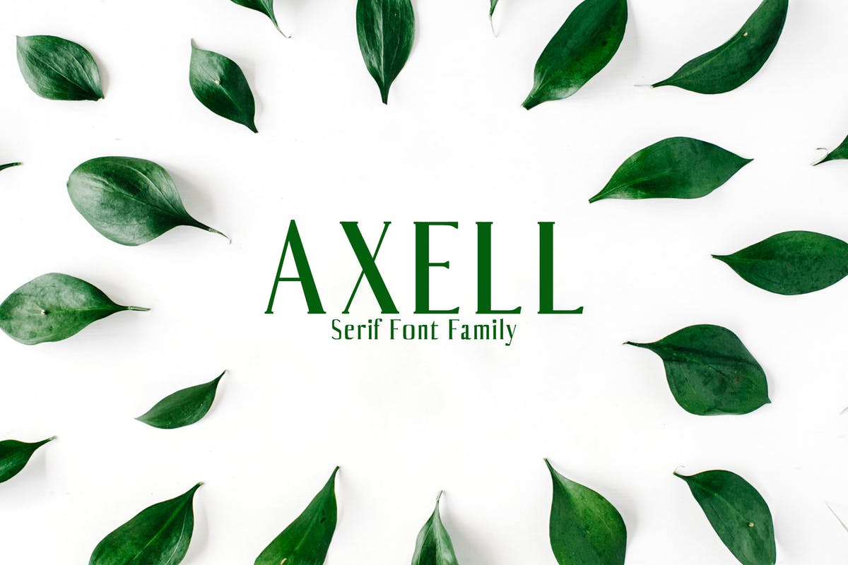 平面设计排版英文衬线字体套装 Axell Serif Fon