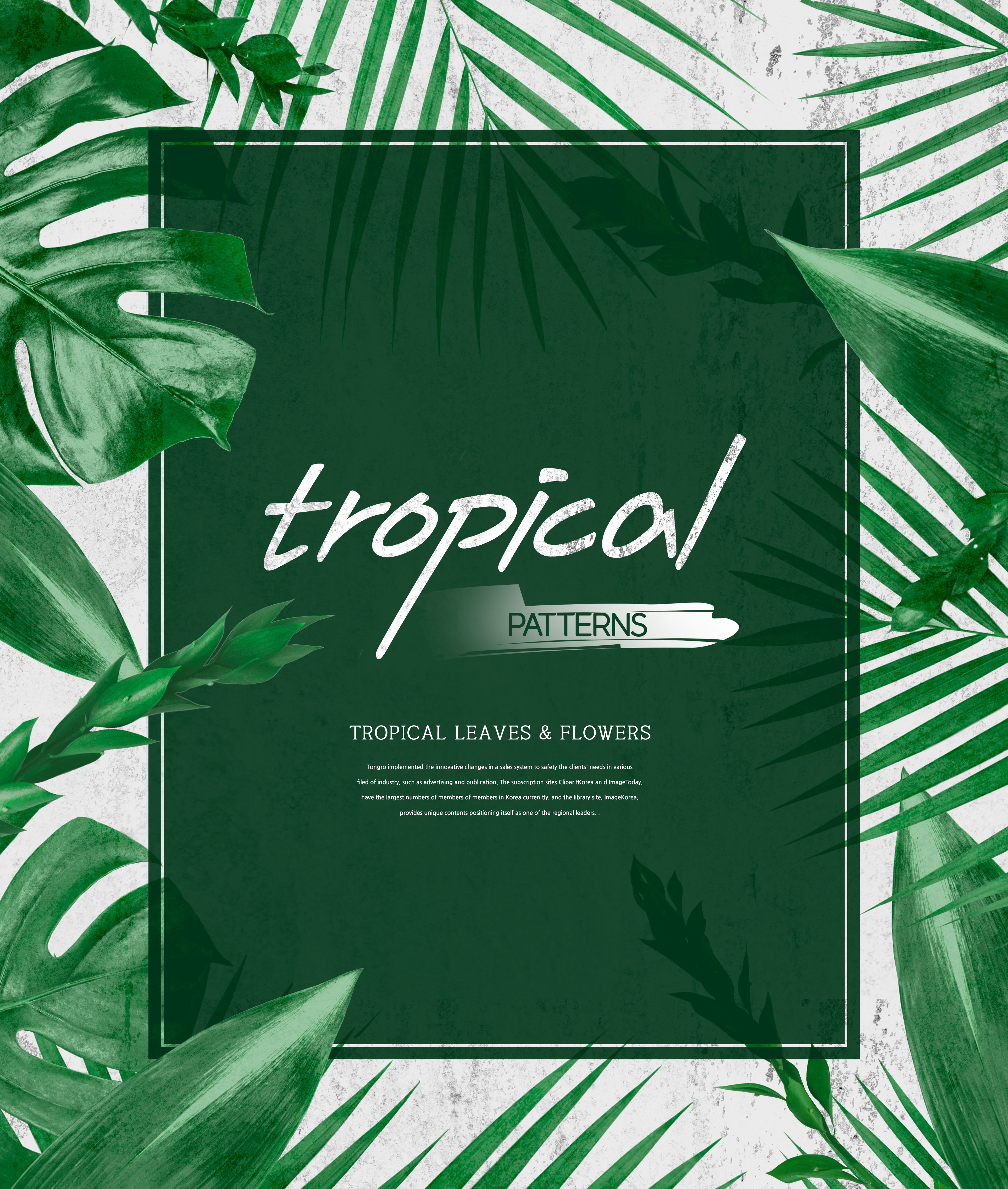 热带主题叶子&amp;花卉图案海报设计素材