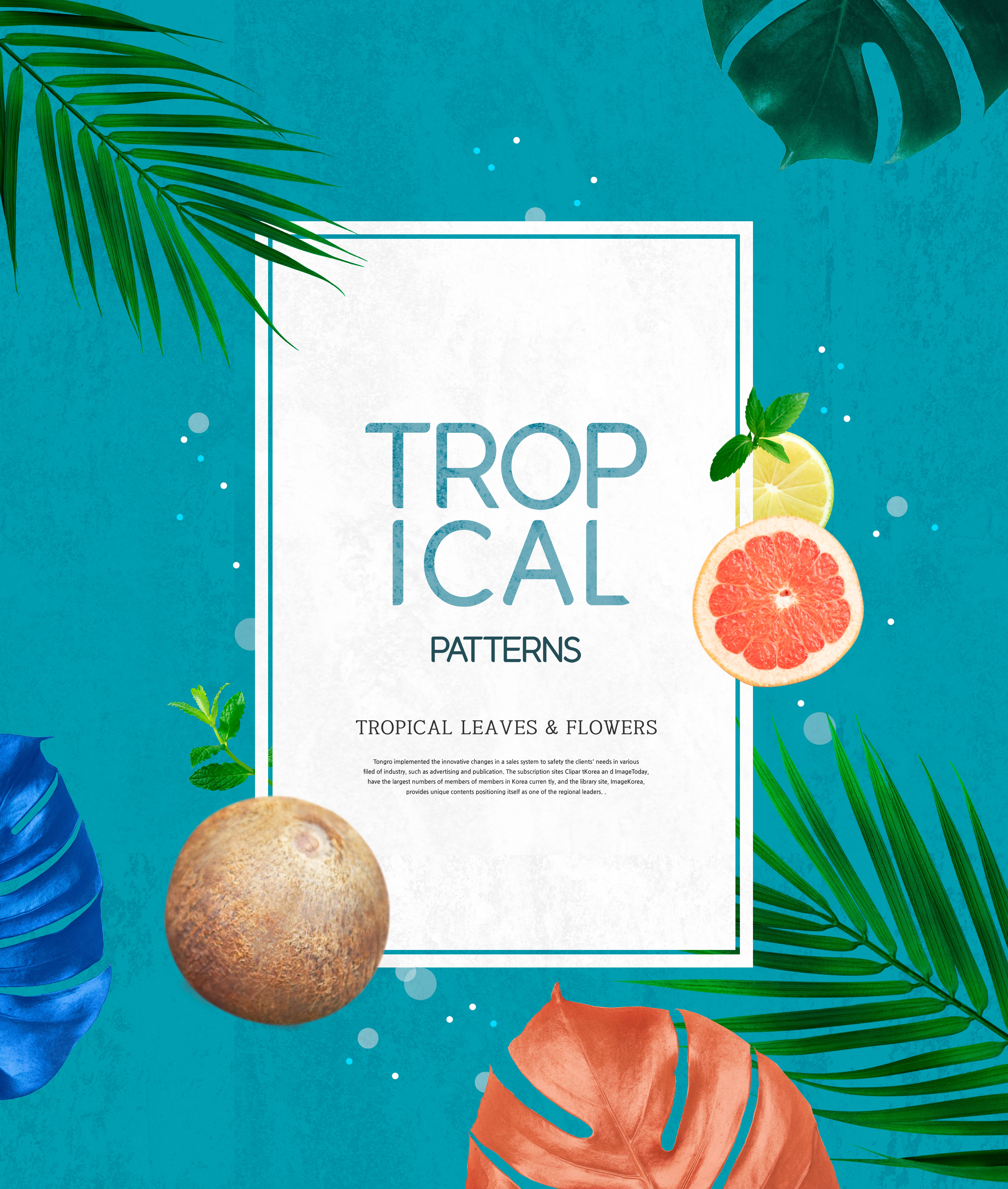 热带主题叶子&amp;花卉图案海报设计素材