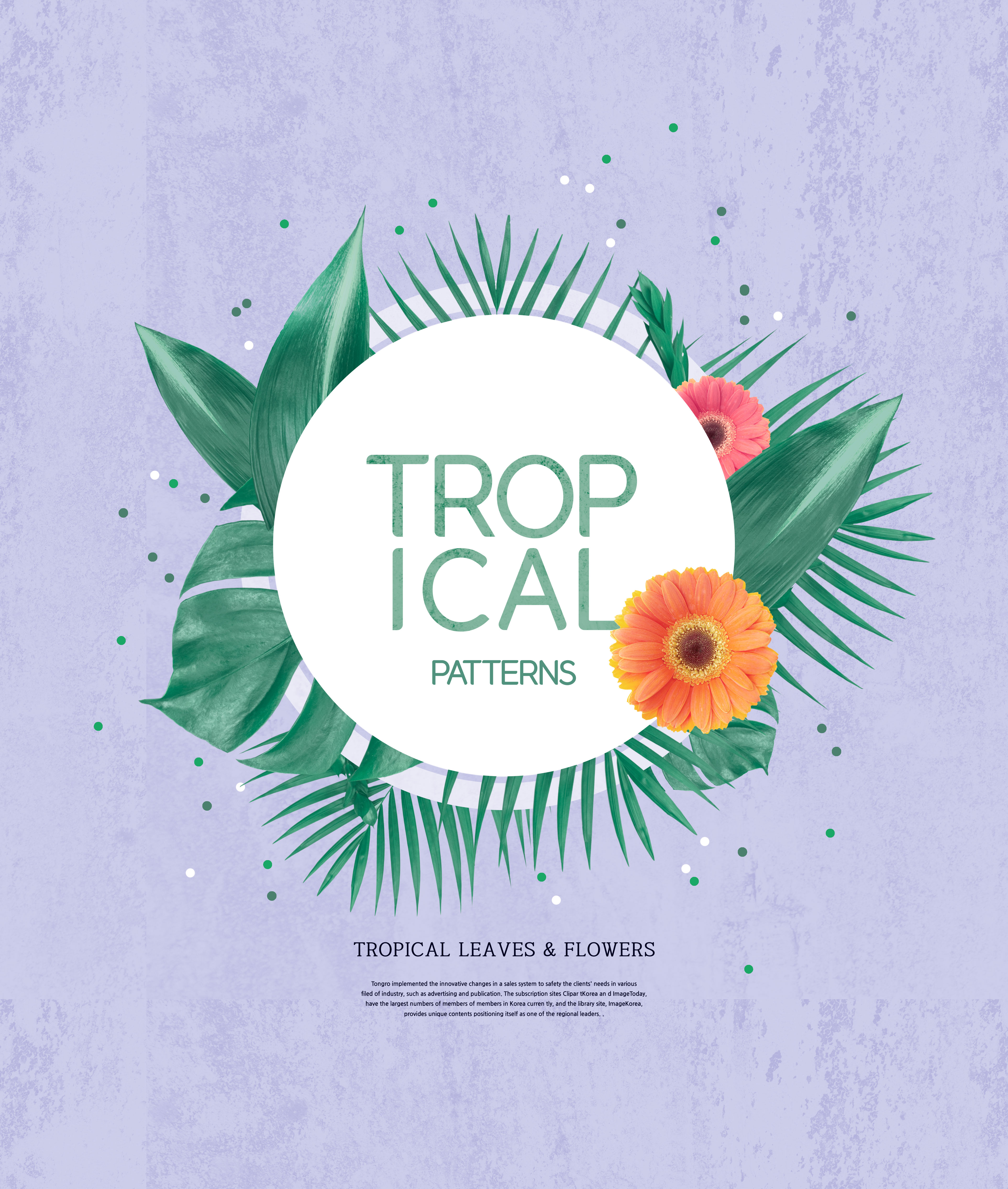 热带植物叶子&amp;花卉图案海报设计素材