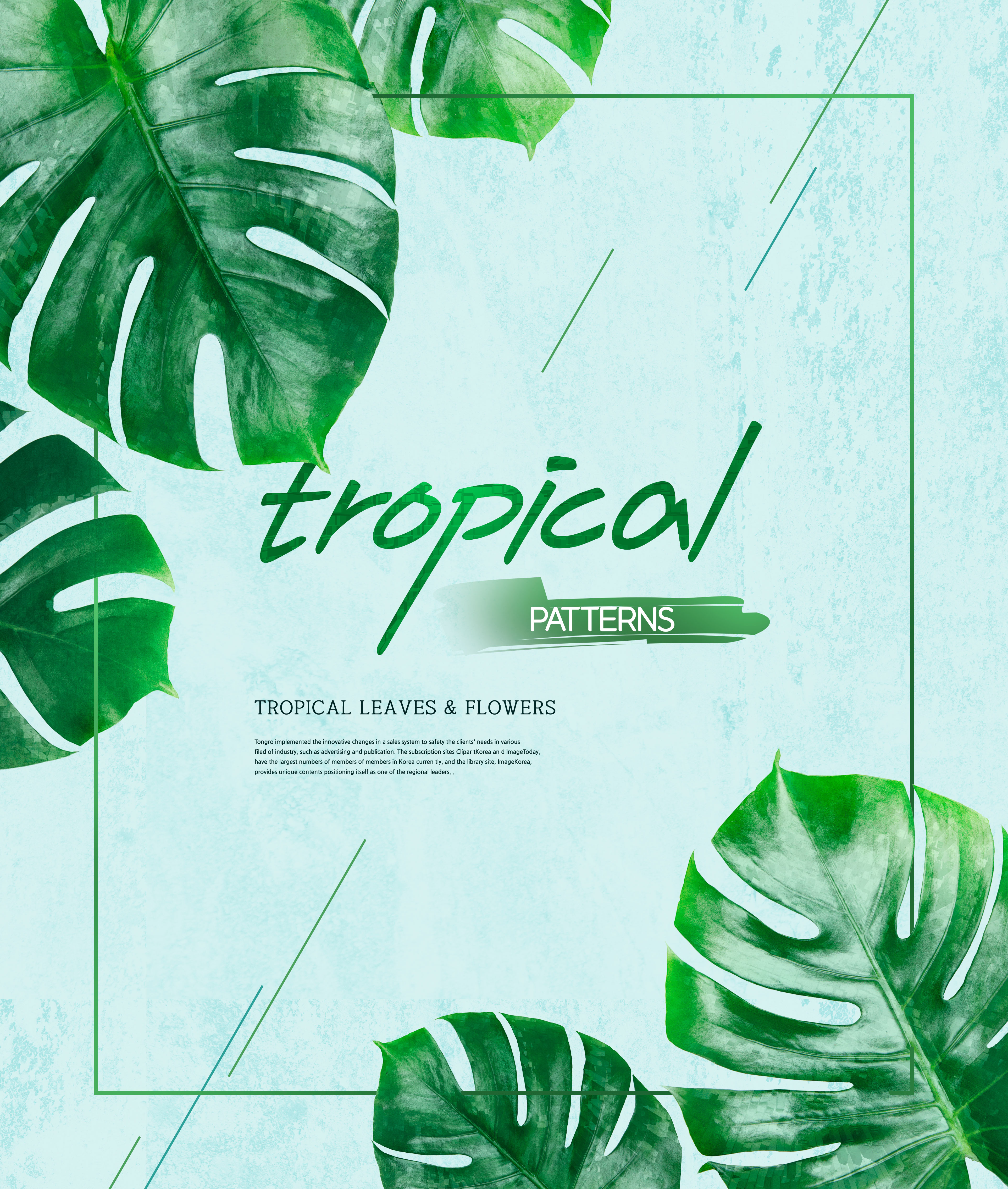 热带植物叶子&amp;花卉图案海报设计素材