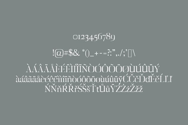 衬线字体系列字体家族 Diedra Serif Font F