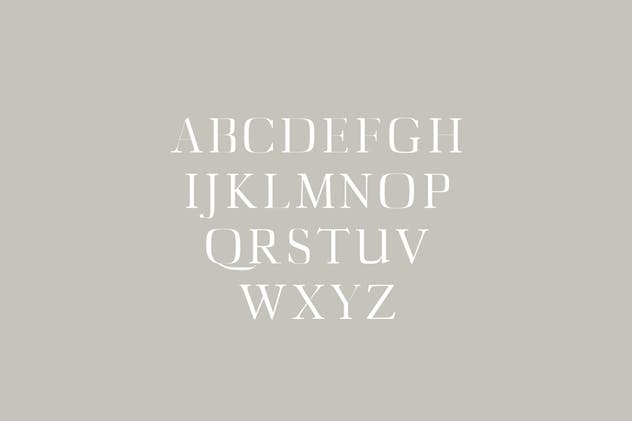 衬线字体系列字体家族 Diedra Serif Font F