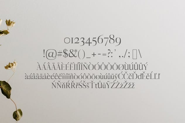 一套非常漂亮的现代英文衬线字体家族 Myron Serif