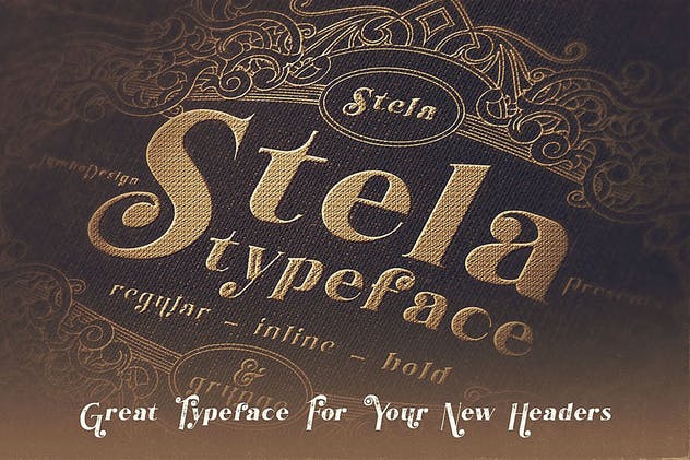 复古外观风格英文衬线装饰字体下载 Stela – Displ