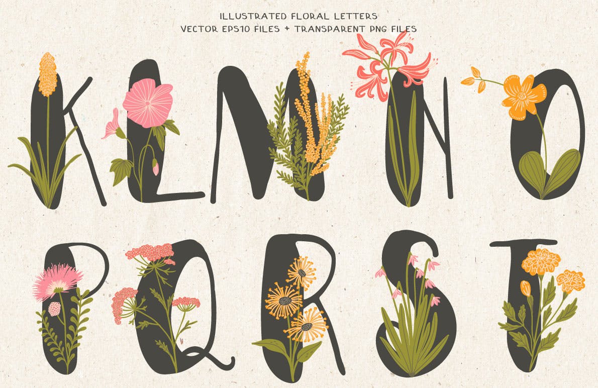 植物花卉装饰英文字母手绘素材 Floral Illustra