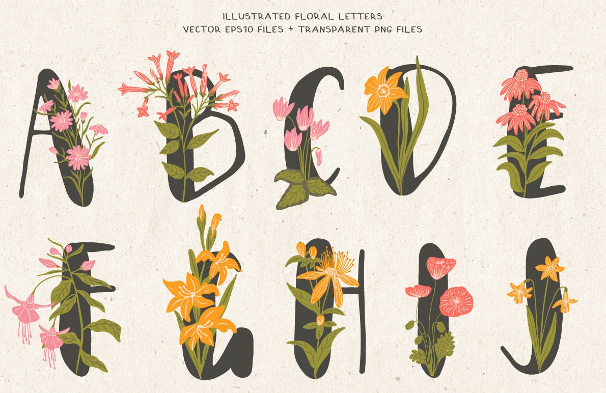 植物花卉装饰英文字母手绘素材 Floral Illustra