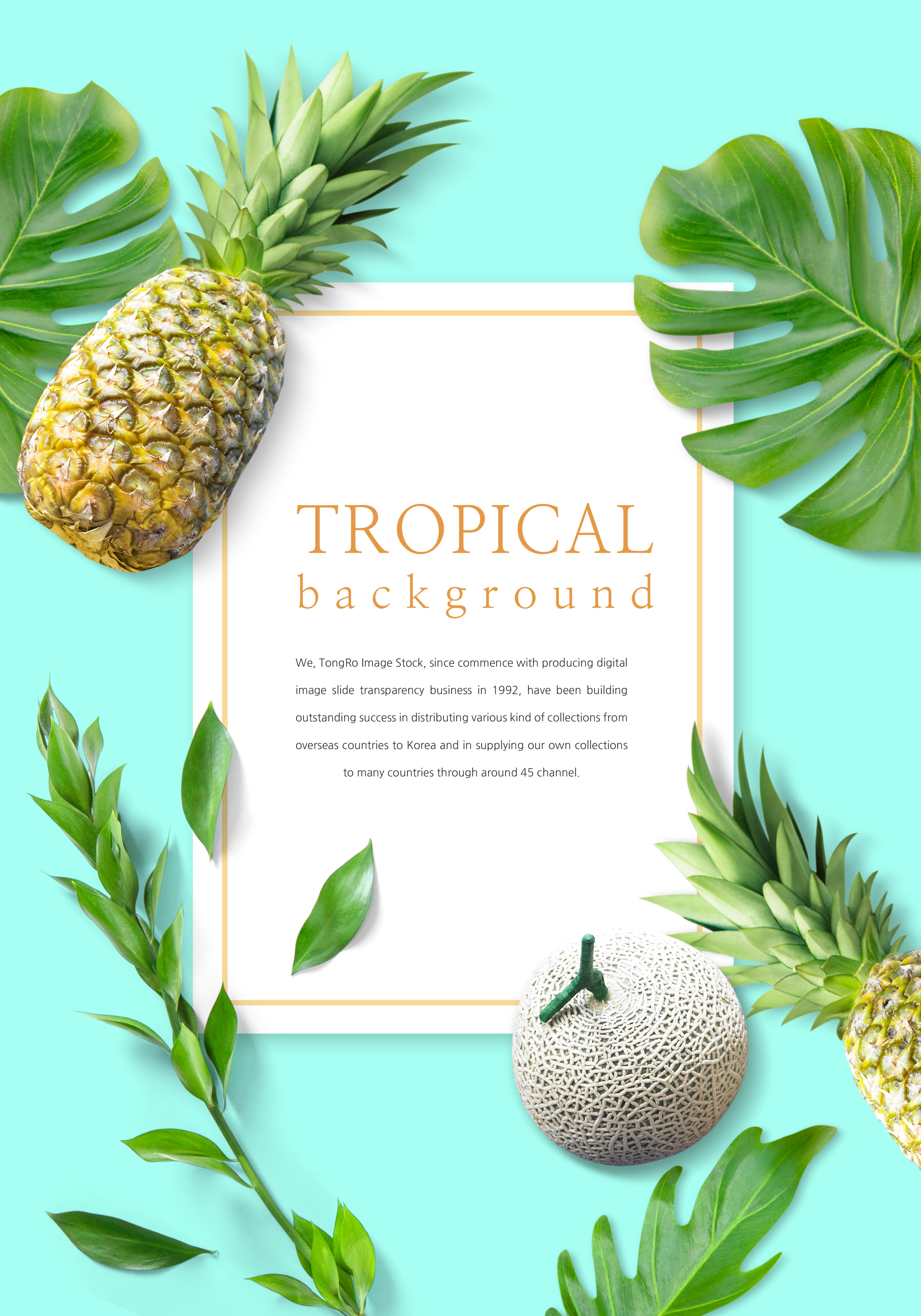 充满活力的热带水果背景图片设计