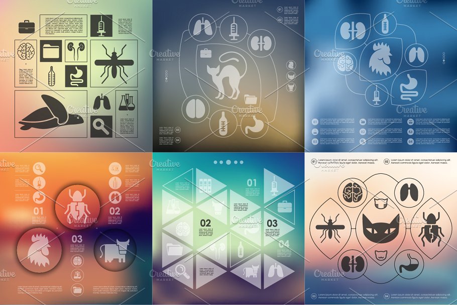 兽医生物科技信息图 9 veterinary infogra