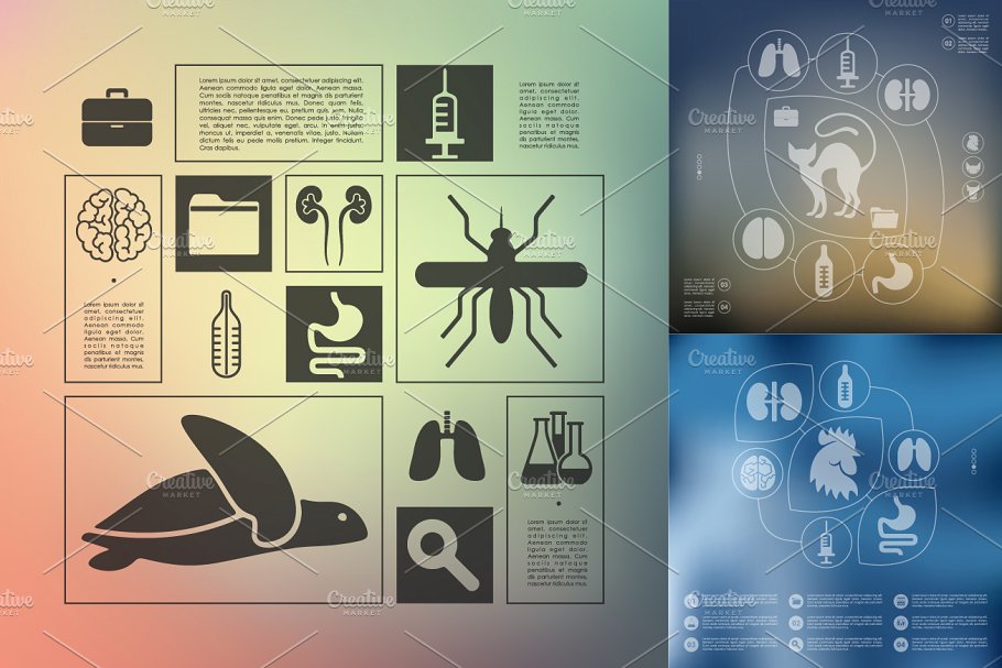 兽医生物科技信息图 9 veterinary infogra